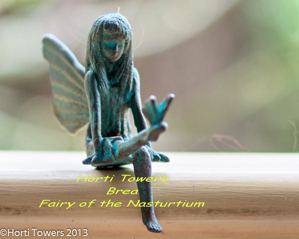 Brea (Fairy of The Nasturtium)