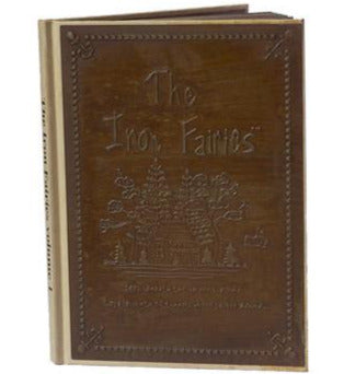 Book - The Iron Fairies Volume 1