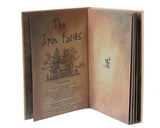 Book - The Iron Fairies Volume 1